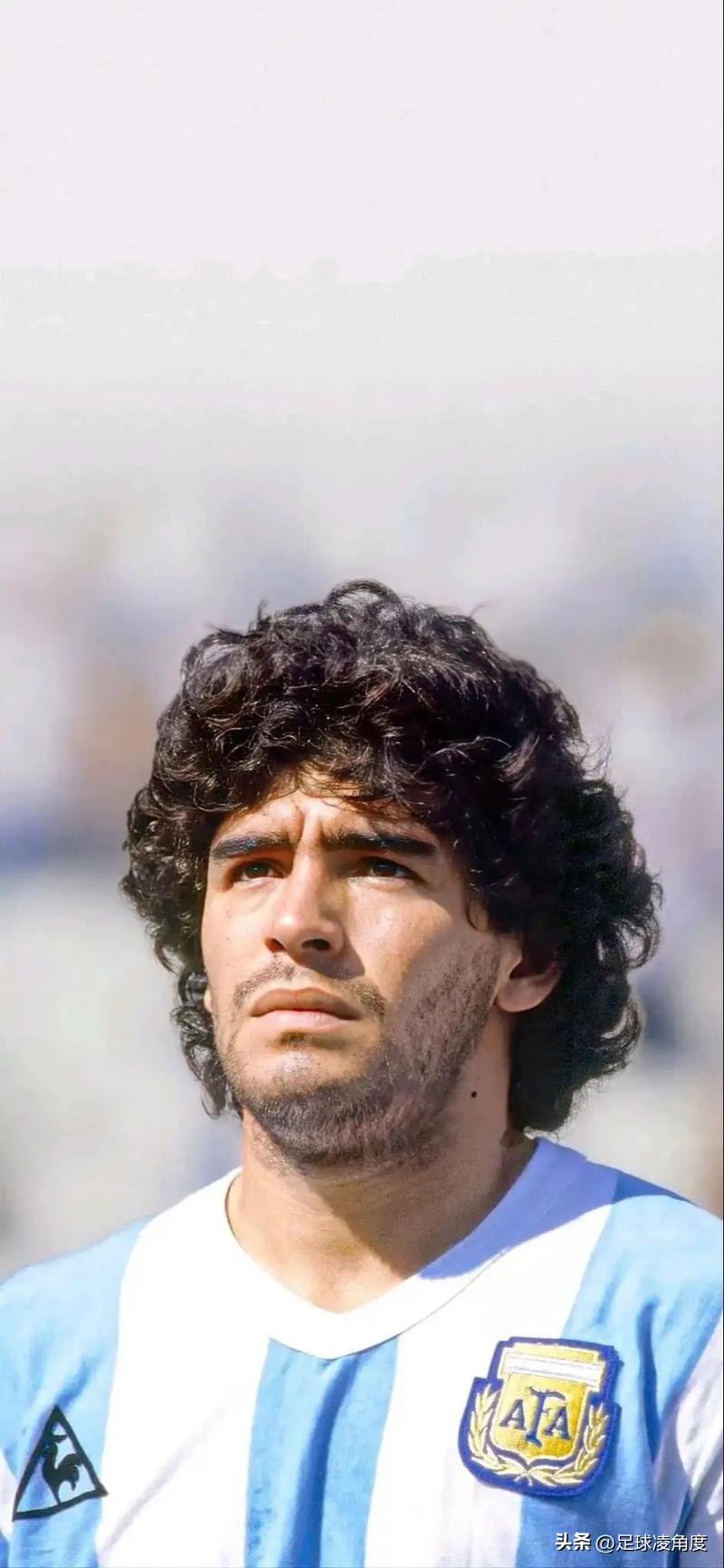 世界杯冠軍歷史_荷蘭世界杯歷史戰績_巴西足球衰落原因