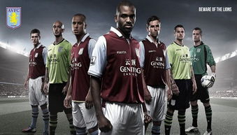 英超聯賽標志_中國資本控股英超球隊_英超聯賽中國投資