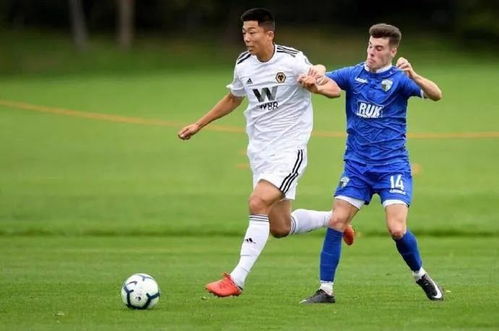 英超聯賽中國投資_英超聯賽標志_中國資本控股英超球隊