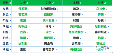 沙特阿拉伯國家隊實力分析_歷史世界杯32強_2018年世界杯32強名單