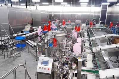 超10億投資打造牛排生產新高地，食品添加劑生產項目助推農業現代化轉型升級