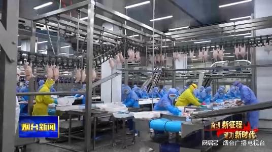 逆勢而上，煙臺企業穩步挺進海外食品添加劑市場