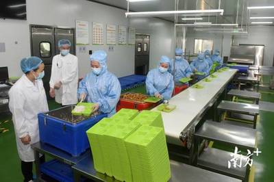 南方觀察|博羅啟動“鏈長制”，首發者為何是食品添加劑產業？