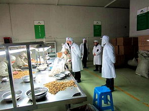 金海社區多措并舉，筑牢節前食品生產企業安全防線