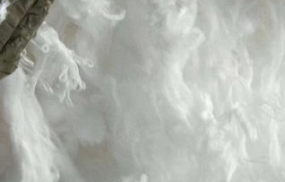 滌綸短纖現(xiàn)貨價格繼續(xù)回落